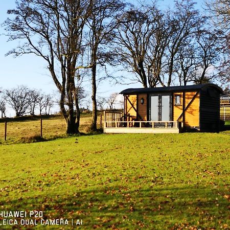 Pen-Rhos Luxury Glamping "Cuckoo'S Nest" Βίλα Llandrindod Wells Εξωτερικό φωτογραφία