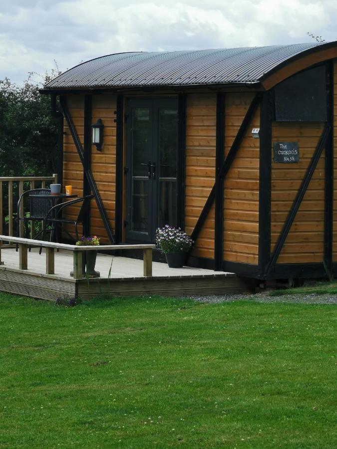 Pen-Rhos Luxury Glamping "Cuckoo'S Nest" Βίλα Llandrindod Wells Εξωτερικό φωτογραφία