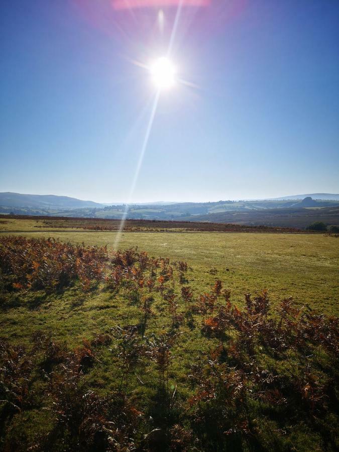 Pen-Rhos Luxury Glamping "Cuckoo'S Nest" Βίλα Llandrindod Wells Εξωτερικό φωτογραφία
