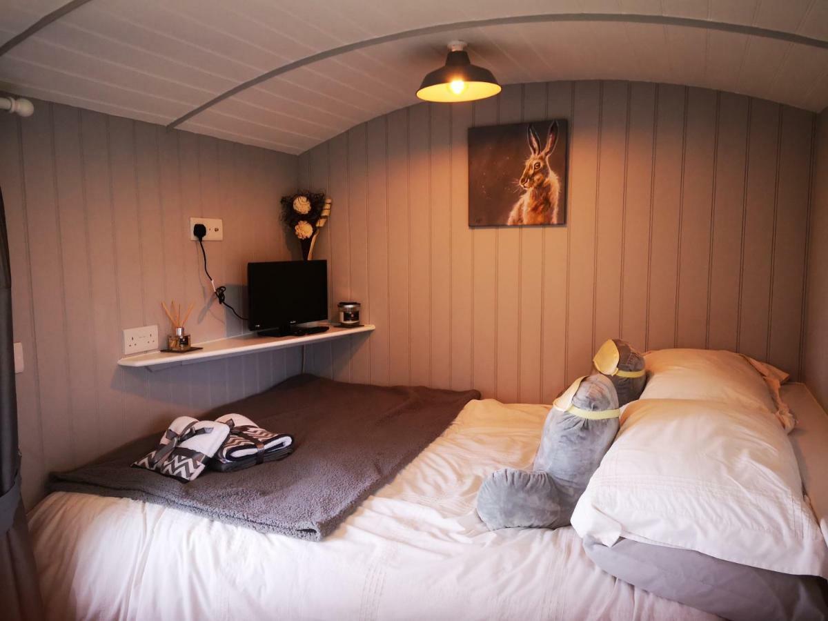 Pen-Rhos Luxury Glamping "Cuckoo'S Nest" Βίλα Llandrindod Wells Εξωτερικό φωτογραφία