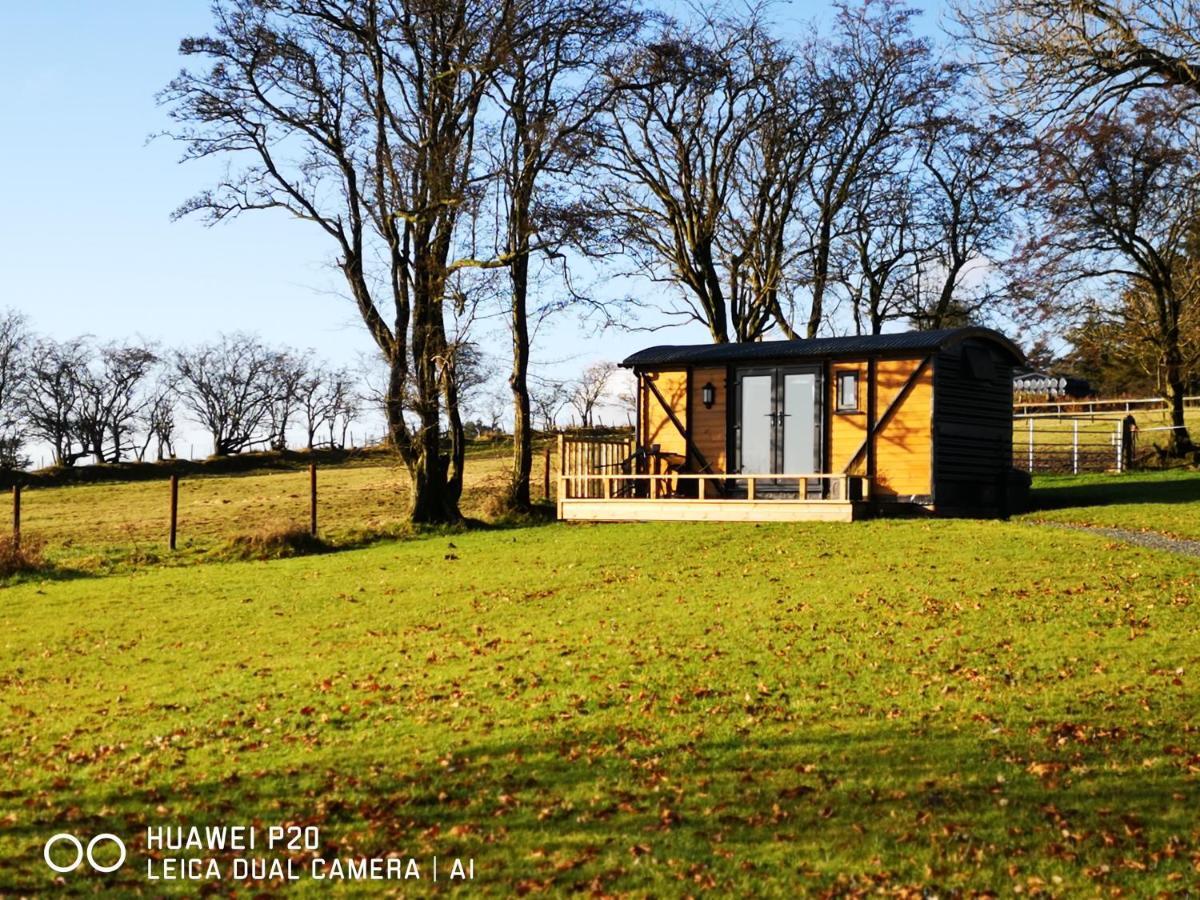 Pen-Rhos Luxury Glamping "Cuckoo'S Nest" Βίλα Llandrindod Wells Εξωτερικό φωτογραφία